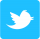 Twitter_Icon.png